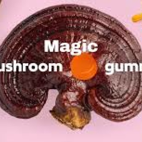 https://thumbs2.imgbox.com/e8/8d/byjUcBV0_t.jpg