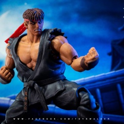 Street Fighter V 1/12ème (Storm Collectibles) - Page 4 UMtntvCI_t