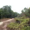 Hiking Tin Shui Wai 2024 TiBrkpMA_t