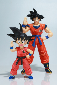 Dragon Ball - S.H. Figuarts (Bandai) - Page 3 Tvn61WRJ_t