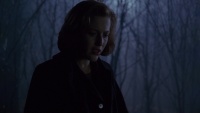 Gillian Anderson - The X-Files S05E12: Bad Blood 1998, 68x