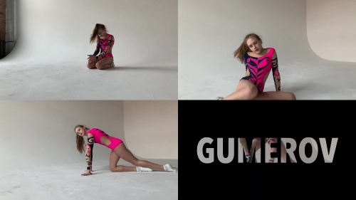 806 Video Gymnasts, flexible girls in leotards dance and train for you