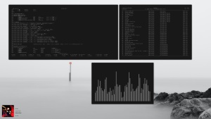 23WjdXL4_t.png