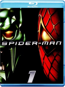 Spider-Man (2002) .mkv FullHD 1080p HEVC x265 AC3 ITA-ENG