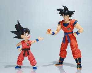 Dragon Ball - S.H. Figuarts (Bandai) - Page 3 HG8FZFx1_t