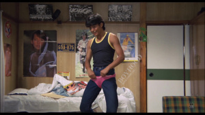 Pantsu no ana 1984