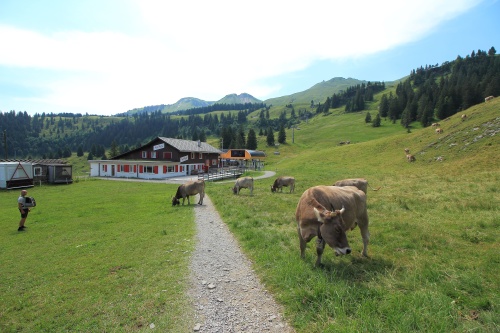 10 DE JULIO. STOOS Y LLEGADA A WATWILL - De ruta en ruta por Suiza, 2023 (1)