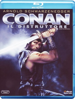 Conan il distruttore (1984) .mkv FullHD 1080p HEVC x265 AC3 ITA-ENG