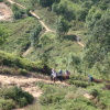 Hiking Tin Shui Wai 2023 July - 頁 2 F0W6W7GN_t