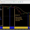 KERJASAMA Bagi Hasil 50:50, NO RIBA, Transparan, GARANSI 100% DANA INVESTOR
