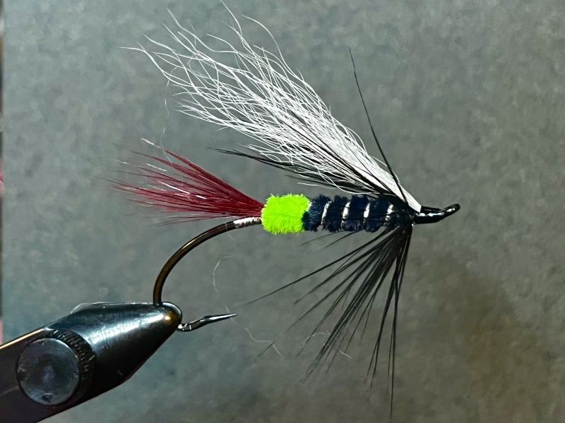 January 2024 Tie Of The Month The North American Fly Fishing Forum   ZFypxMSC T 