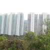 Tin Shui Wai 2022-01-01 3fej0iCc_t