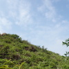 Hiking Tin Shui Wai 2023 July - 頁 2 Ix5Oulec_t