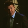 David Boreanaz T8eWM4H5_t