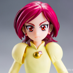 Precure - S.H. Figuarts (Bandai) (récapitulatif des sorties post 1 page 1) - Page 4 BzxkQJel_t