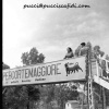 Targa Florio (Part 3) 1950 - 1959  - Page 4 AP9SxiCs_t