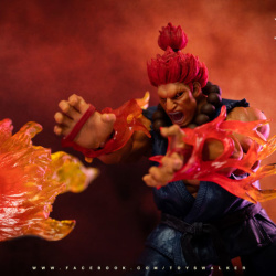 Street Fighter V 1/12ème (Storm Collectibles) - Page 4 Wz1IrBQi_t