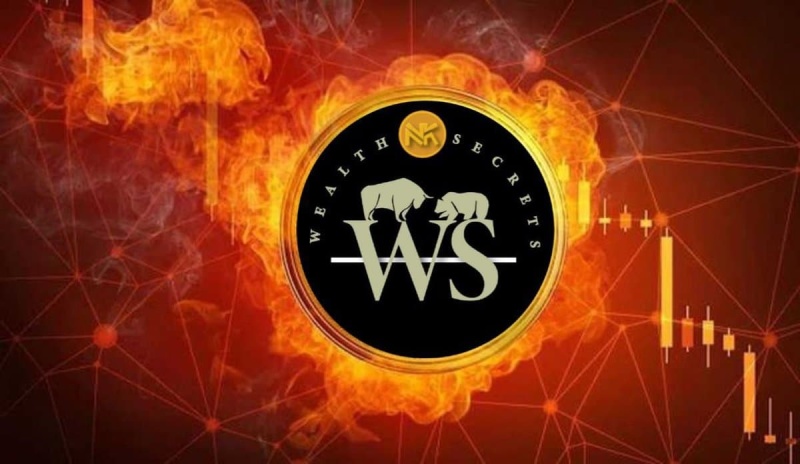 Major Announcement: WealthSecrets token burn incoming