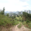 Hiking Tin Shui Wai 2023 July - 頁 2 6OYln29O_t