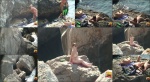 Nudist video 00470 NudeBeachDreams 