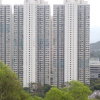 Hiking Tin Shui Wai 2024 Yh4GW6DF_t