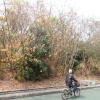 Tin Shui Wai Hiking 2023 - 頁 2 EQjzaFgX_t